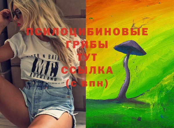 МДПВ Алексин