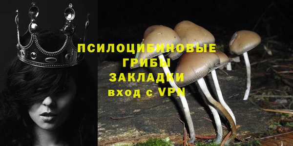 МДПВ Алексин
