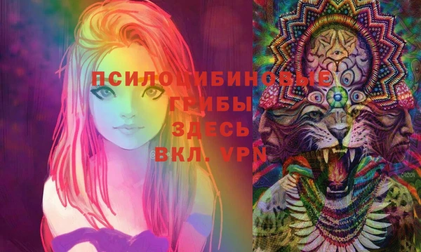 МДПВ Алексин