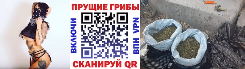магазин  наркотиков  Козловка  Галлюциногенные грибы MAGIC MUSHROOMS 